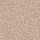 Mohawk Carpet: Dynamic Quality II Walnut Sage